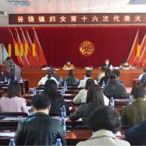 【基层换届开新篇 巾帼聚力再起航】潮阳区谷饶镇、铜盂镇、贵屿镇顺利完成妇联换届啦!