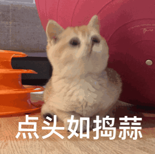 @汕头市民,快来加入防灾减灾知识学习小组吧!