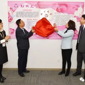 龙湖区妇联在非公企业建“家” ——汕特会计师事务所“妇女之家”正式挂牌 ...