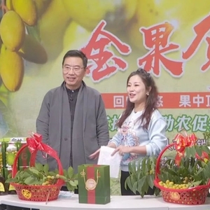 果中顶流三捻橄榄  助农直播购销两旺