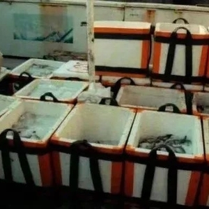 赔偿修复费79550元!男子破坏海洋生态被判刑罚款