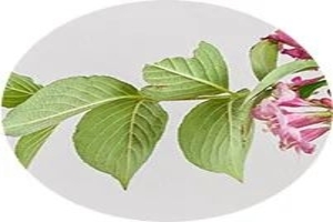 汕港同心抗疫  潮南在行动——第一批援港物资即将启程!