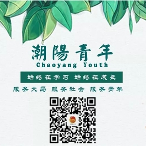 @潮阳青年 这里有一封清朗网络倡议书 请查收