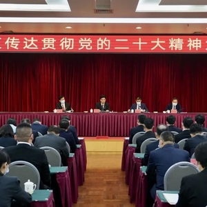 龙湖区召开传达贯彻党的二十大精神大会