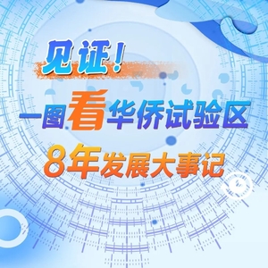 见证!一图看华侨试验区8年发展大事记