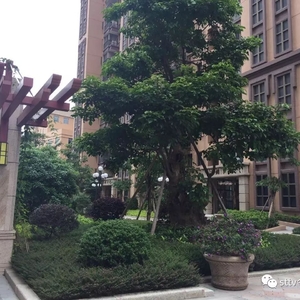 装宽带“被选择”,想看内幕今天就来第一发