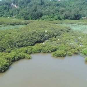 打造江景公园  水清岸绿景美
