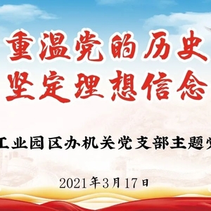 重温党的历史 坚定理想信念——龙湖工业园区办机关党支部召开组织生活会并上党课