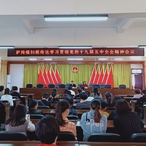 潮南区各级妇联学习贯彻党的十九届五中全会精神