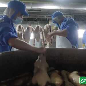 汕头预制菜香飘四海 销售升温