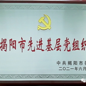 喜报•市审计局党总支部荣获“揭阳市先进基层党组织” 陈晖同志荣获“市直机关优秀共产党员”称号