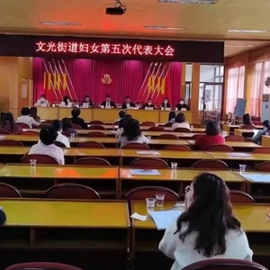 【基层换届开新篇 巾帼聚力再起航】潮阳区顺利完成镇(街道)妇联换届工作