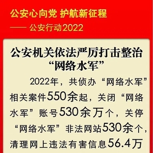 【公安心向党 护航新征程】公安机关依法严厉打击整治“网络水军”