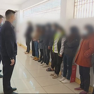 赌“鱼虾蟹”   14人被抓