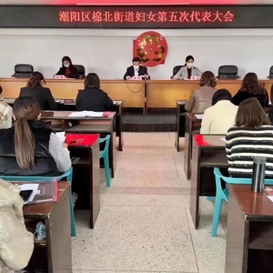 【基层换届开新篇 巾帼聚力再起航】潮阳区棉北街道、金浦街道顺利完成妇联换届啦!