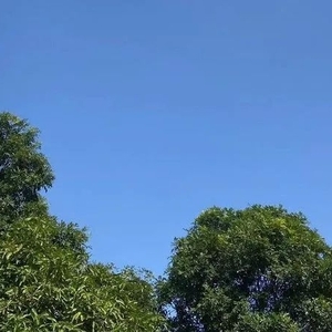 春节期间汕头天气怎么样?最低温将出现在初四早晨,或只有9℃