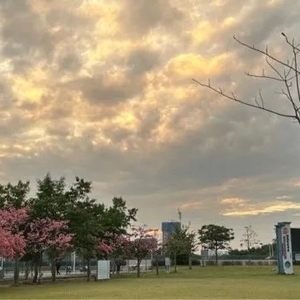 聚焦乡村建设行动 | 村居建设不停歇  环境提升更宜居