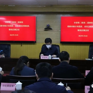 十二届市委第二轮第二巡察组向市统计局党组、市社会经济调查队反馈巡察情况
