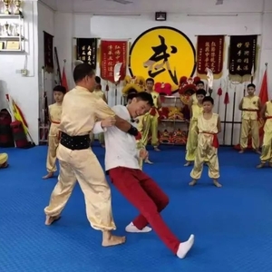 文艺闹新春 | 传统武术源流长  群英荟萃闹新春