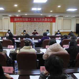 潮州市妇联第十三届三次执委会召开