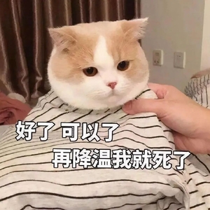 【初八】开工遇降温  打工人的新年是寒冷无阻 整年安全