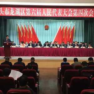 龙湖区人民检察院党组书记、代理检察长杨汉金在区六届人大四次会议上作检察工作报告