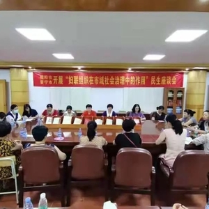 揭阳市、普宁市妇联联合举行“妇联组织在市域社会治理中的作用”民生座谈会
