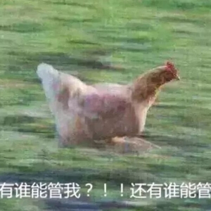 暑期实习哪里找?揭阳共青团“展翅计划”1279个优质岗位等你来!!!