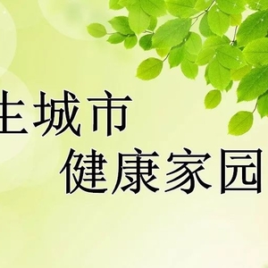 市创卫办组织抽查湘桥区城西街道创卫工作