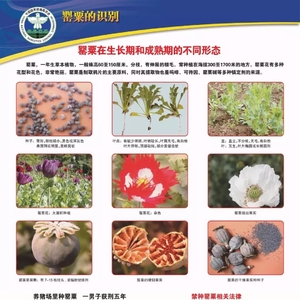 潮州市禁毒办禁毒系列宣传(一)