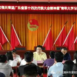团潮安区委开展传达贯彻共青团广东省第十四次代表大会精神学习会暨“青年大学习”团日活动