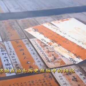 和美侨乡凝合力!汕头正以高质量发展做好新时代“侨”的文章,续写更多春天的故事……