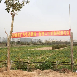 【绿美潮阳】潮阳区以这种行动推进绿美潮阳生态建设