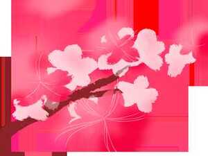 【直播预告】濠江桃花节12日上午甜蜜开启,锁定汕头橄榄台“桃”你欢心!