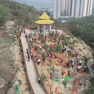 青春绿动 不负春光 | 潮州青年共建“绿美潮州”