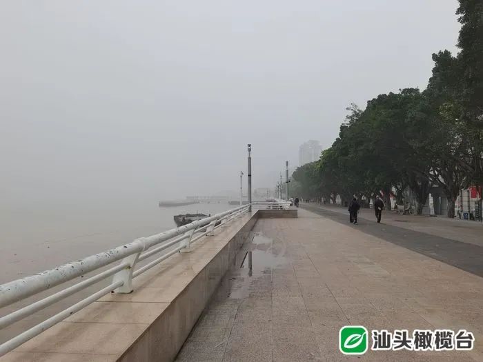 今早汕头市气象台发布大雾黄色预警信号!雾天出行一定要注意这件事……