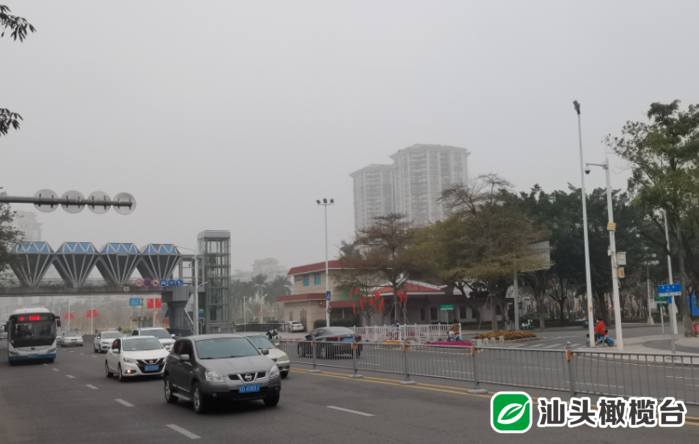 今早汕头市气象台发布大雾黄色预警信号!雾天出行一定要注意这件事……