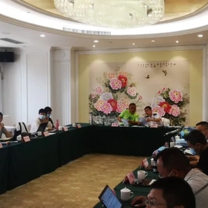 揭阳消防救援支队组织召开中国石油广东石化公司专职消防支队设计方案审查会