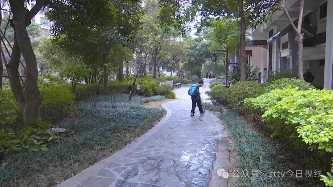 捡到现金一万元  小学生拾金不昧