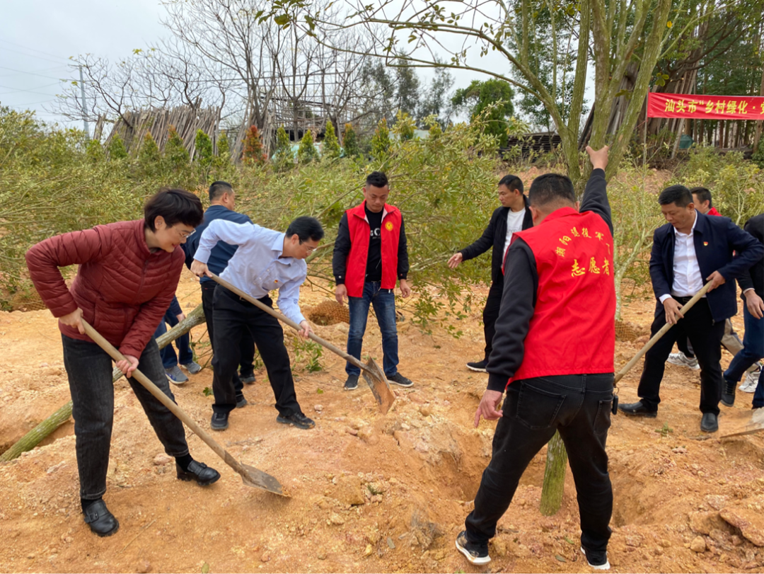 【绿美汕头 巾帼行动】党建引领添新绿,市、区妇联党员干部积极参与潮阳区“乡村绿化 党员先行”植树活动!