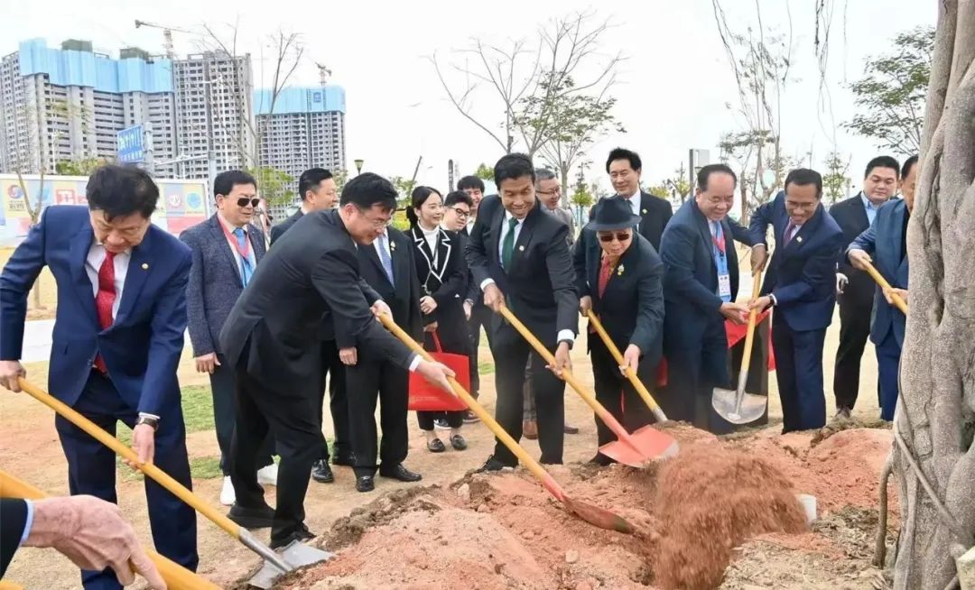 汕头曼谷友谊树种植活动在我市举行
