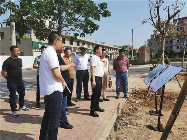 看过来!濠江政协2024年履职时间轴!