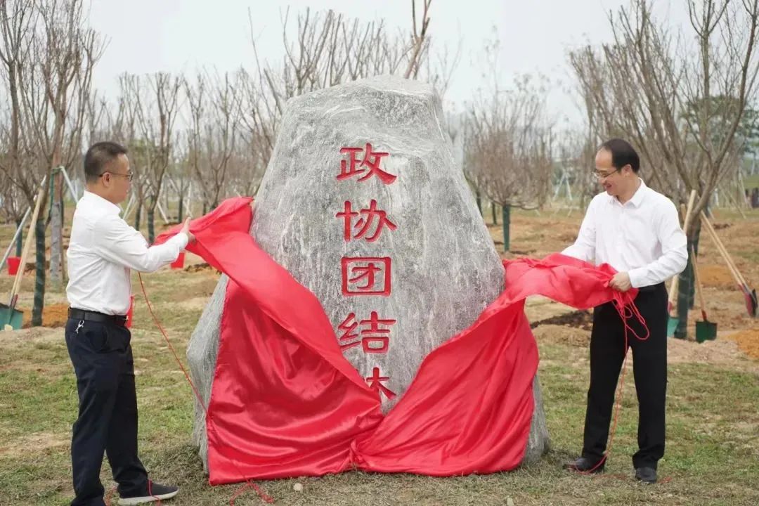 看过来!濠江政协2024年履职时间轴!