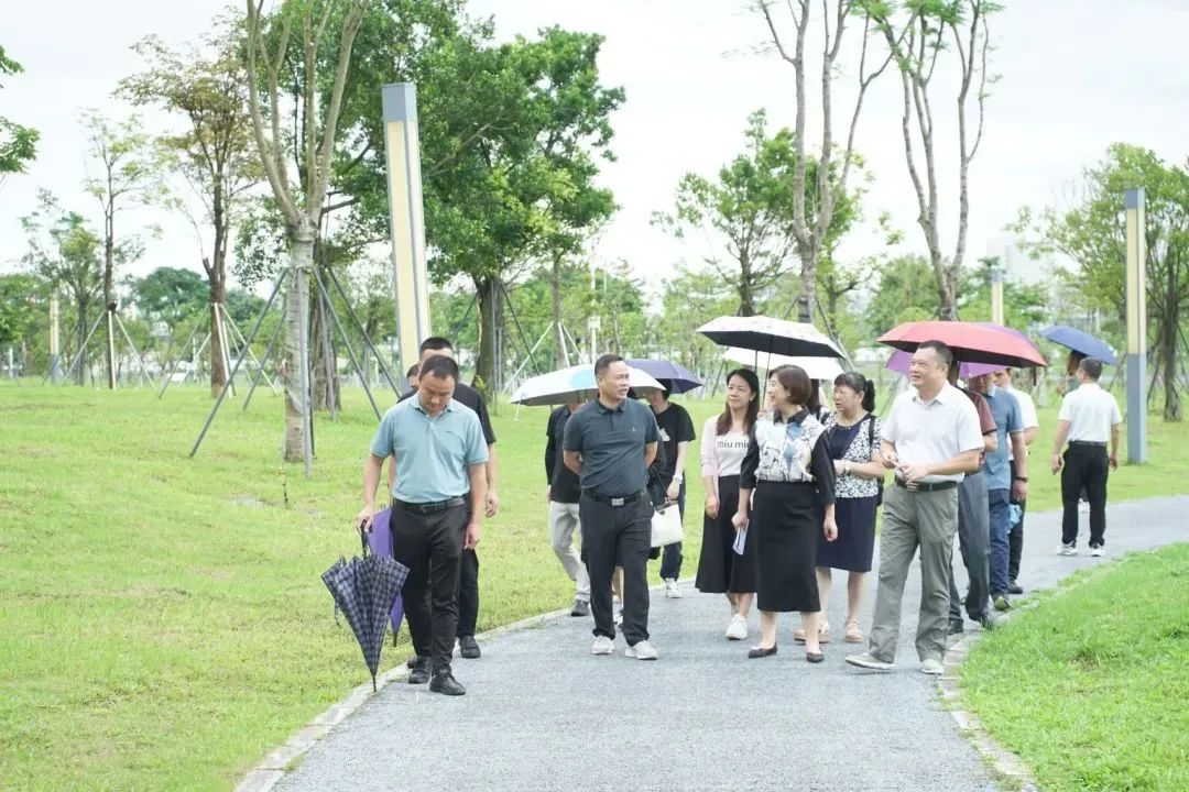 看过来!濠江政协2024年履职时间轴!