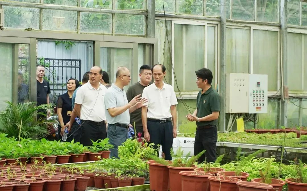看过来!濠江政协2024年履职时间轴!