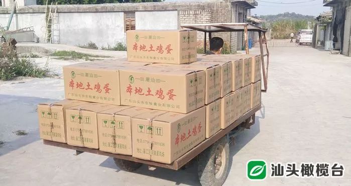 汕头动物防疫专家为禽畜场安全生产“支招”