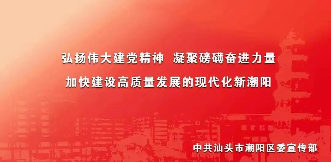 基层风采丨潮阳青年大学生“百千万工程”突击队举办乡村振兴直播分享会