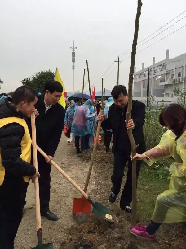 【312植树节】无畏倒春寒  500多名汕头青年植树忙