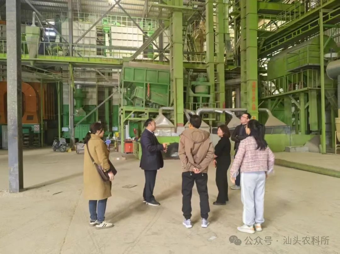 农邮合力打造潮阳丝苗米产业新标杆   赋能“百千万工程”新实践
