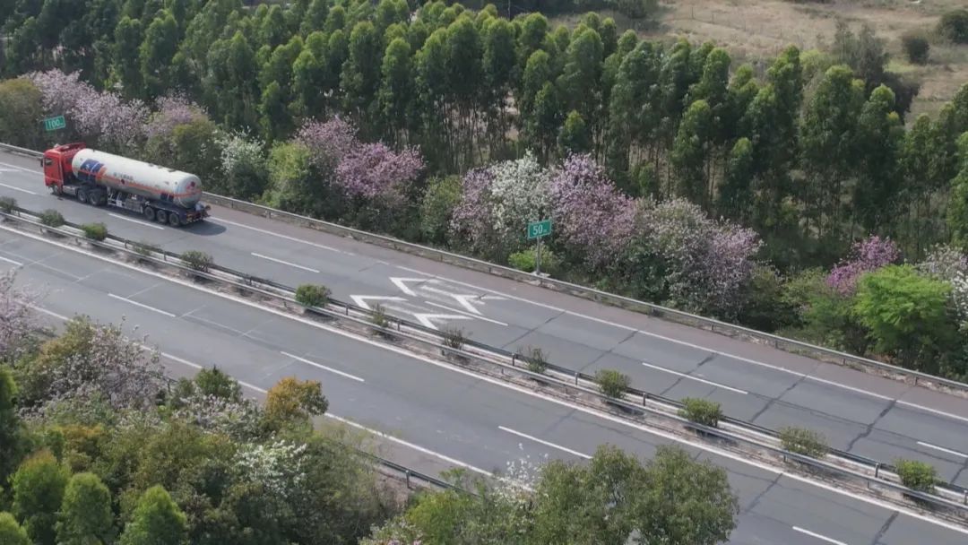 繁花已至 体验潮南“花花世界”